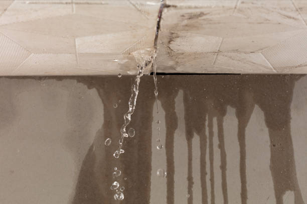 Professional Sewage Cleanup technician working in Westover, WV